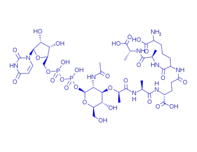 UDP-N-acetylmuramyl-L-alanyl-γ-D-glutamyl-m-diaminopimelyl-D-alanyl-D-alanine