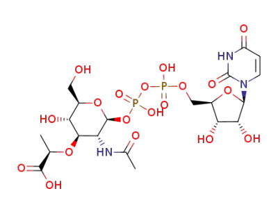 UDP-N-acetylmuramic acid β-anomer